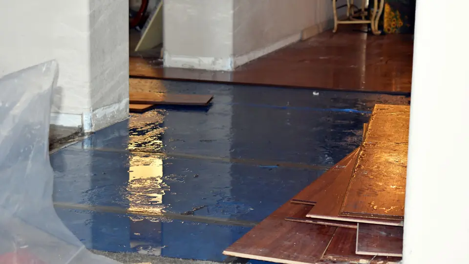 Water-damaged hardwood floorboards pulled up over a plastic-covered subfloor
