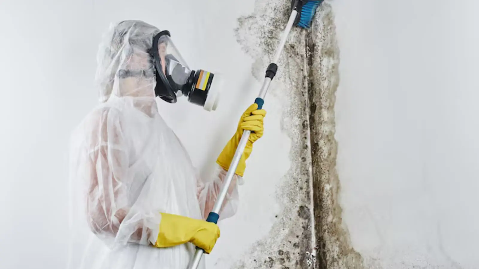 Person in a protective suit, respirator and gloves scrubbing mold from a wall with a long-handled brush