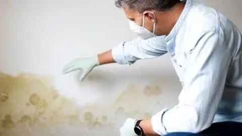 Person wearing a mask and gloves examining a water-stained wall